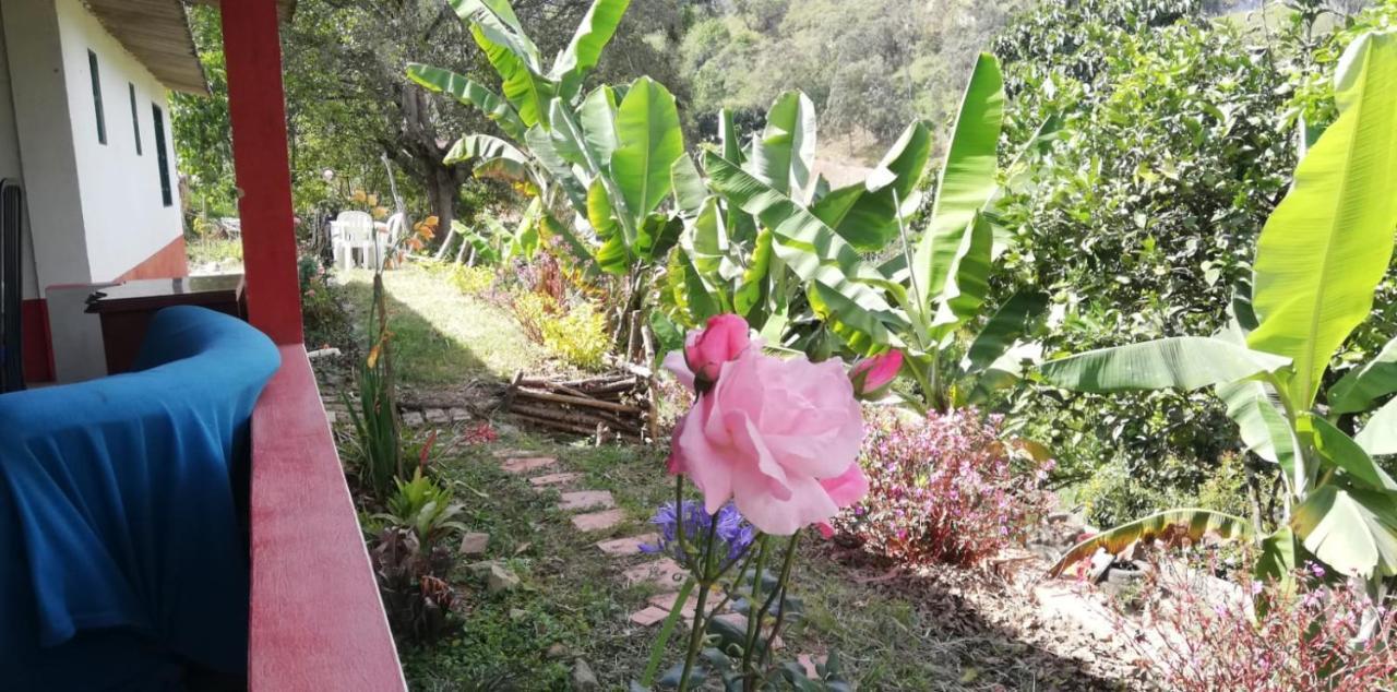 Finca Umnisa - Choachí Dış mekan fotoğraf