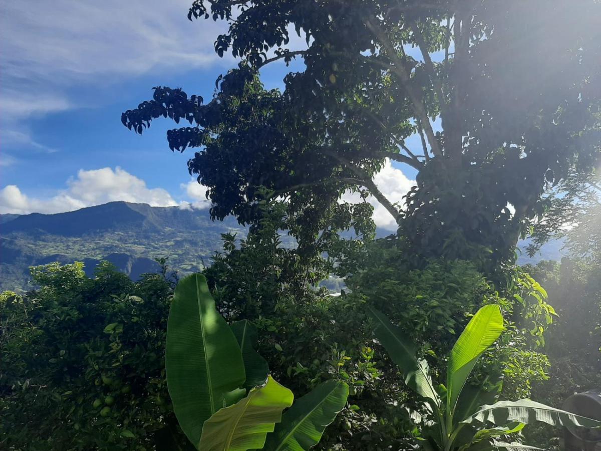 Finca Umnisa - Choachí Dış mekan fotoğraf
